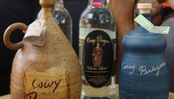 Bebidas Típicas de Falcón