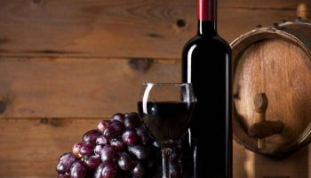 Bebidas Típicas de la Región de Cuyo