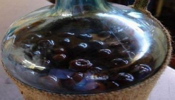 Bebidas Típicas Del Estado de Anzoátegui