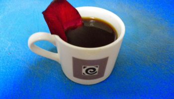 Bebidas típicas de Baréin