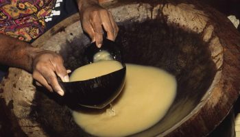 Bebidas típicas de Fiyi