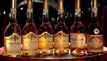 Bebidas típicas de Hungría