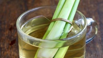 Bebidas típicas de Seychelles