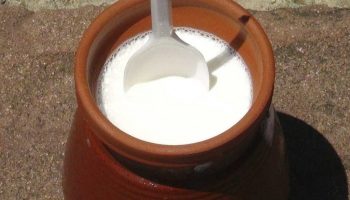 Leche fermentada de yegua