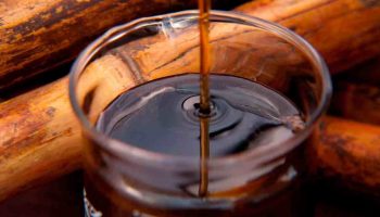 Bebidas típicas de Salta